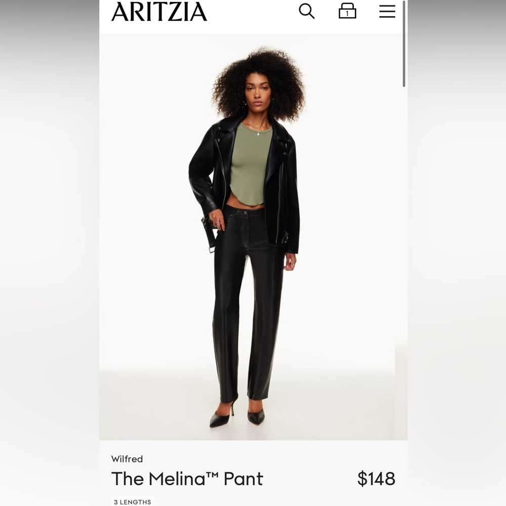 Melina leather pants size 10